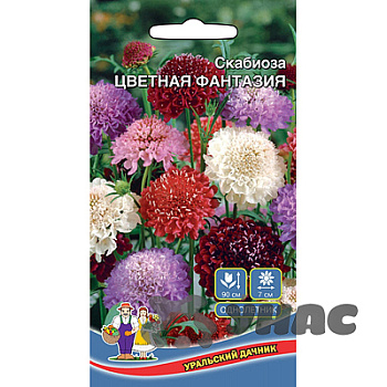 Скабиоза Цветная Фантазия Марс Ц 