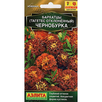 Бархатцы Чернобурка Аэлита Ц 