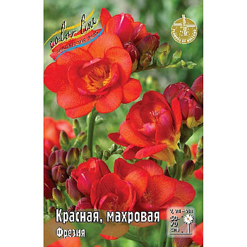 Фрезия Красная, Махровая 5/6 10 шт