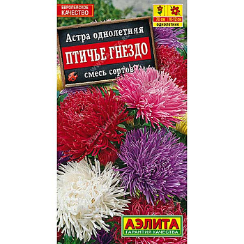 Астра Птичье гнездо Аэлита Ц 