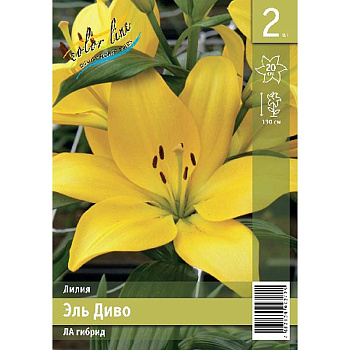 Лилия Эль Диво 12/14 2 Эконом шт 