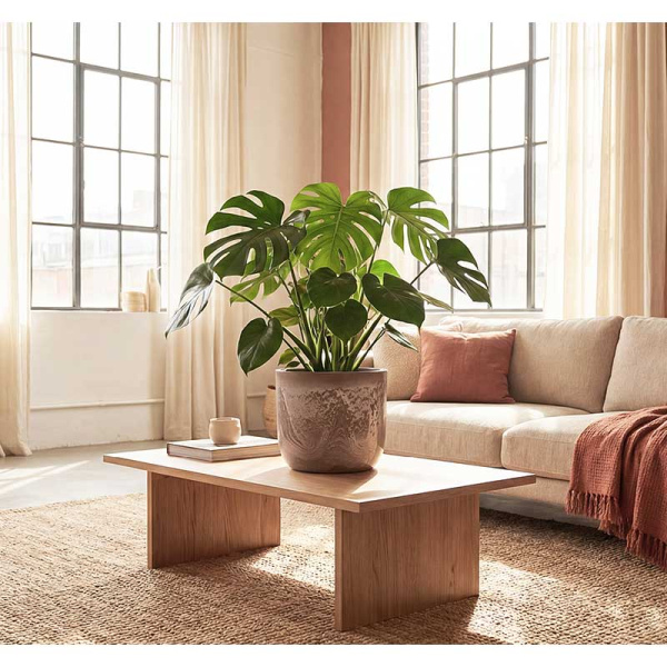 Кашпо МИКРИТ D220мм 3,7л со вставкой бежевый слайн М3266 х8 