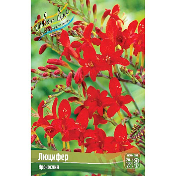 Крокосмия Люцифер 8/10 8 шт 