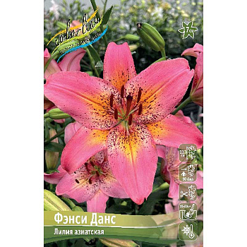 Лилия Фэнси Данс 12/14 25 шт Биг-Пак 14760 