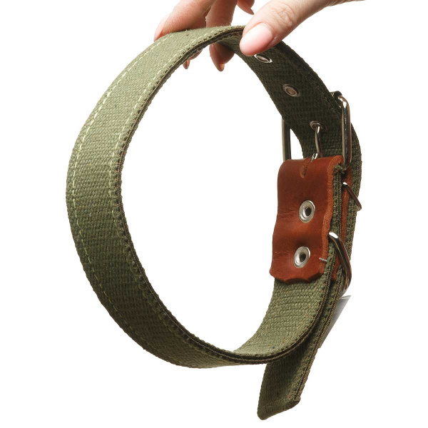 Ошейник брезентовый ширина 35 мм двойной 65 см