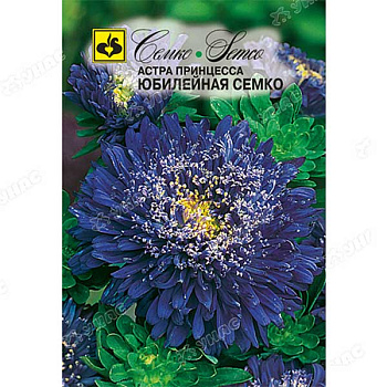 Астра Принцесса Юбилейная Семко Ц 