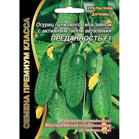Огурец Преданность Марс Ц