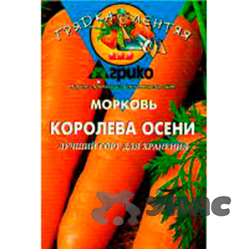 Морковь Королева осени (ГЛ) Агрико