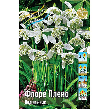 Подснежник Флоре Плено 5/6 5 шт