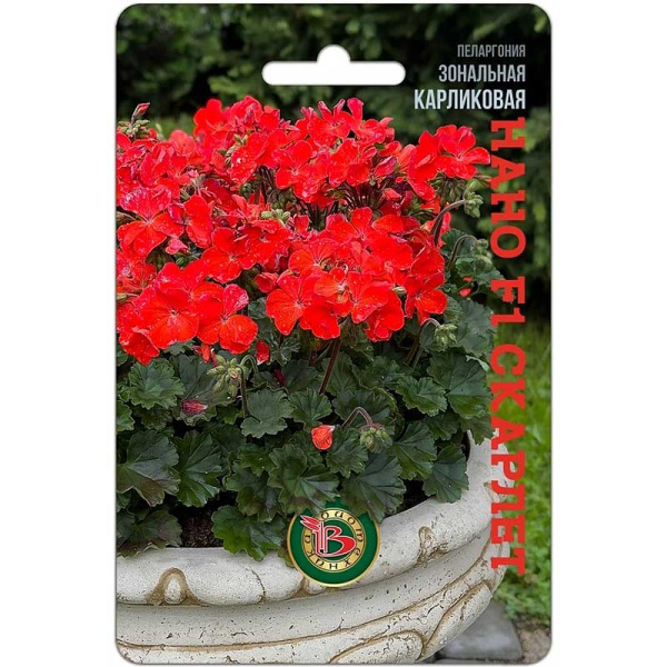 КОМ Пеларгония Нано Скарлет карликов Биотехника Ц 