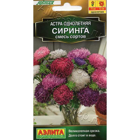 Астра Сиринга Аэлита Ц 