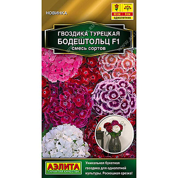 Гвоздика турецкая Бодештольц смесь Аэлита Цх10 