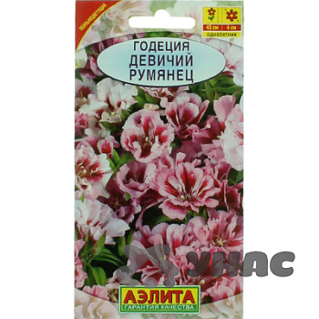 Годеция Девичий румянец Аэлита Ц 