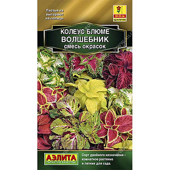 Колеус Волшебник блюме Аэлита Ц 