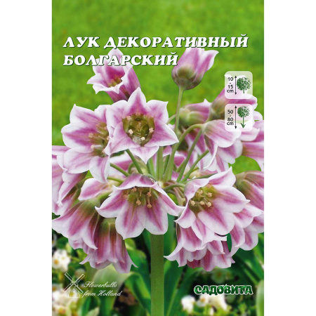 Лук Декор. Болгарский 10/12 5 шт Садовита