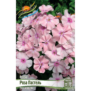 Флокс Роза Пастель I 2 шт