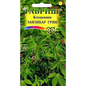 Клещевина Занзибар Грин Гавриш Ц 