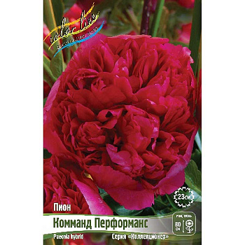 Пион Комманд Перформанс 2/3 n 1 шт