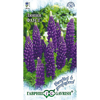 Люпин Фауст многолистный Гавриш Ц 