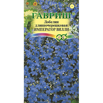 Лобелия Император Вилли Гавриш Ц 