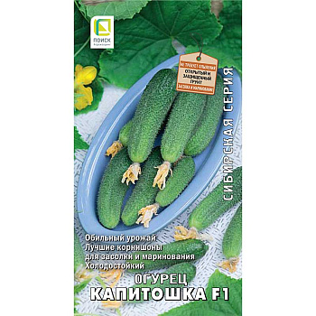 Огурец Капитошка Поиск Ц
