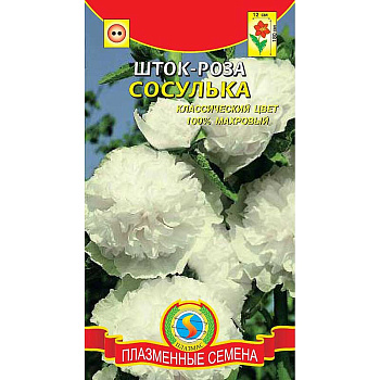 Шток-роза Сосулька Плазма Ц 