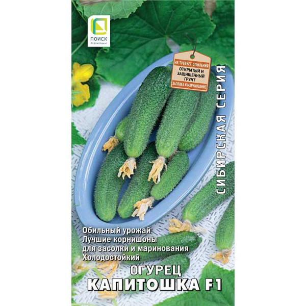 Огурец Капитошка Поиск Ц