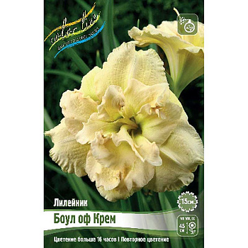 Лилейник Боул Оф Крем I 25 шт Биг-пак 7856 