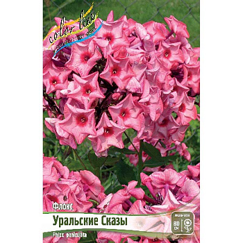 Флокс Уральские Сказы I 2 шт