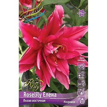 Лилия Roselily Елена 12/14 5 шт