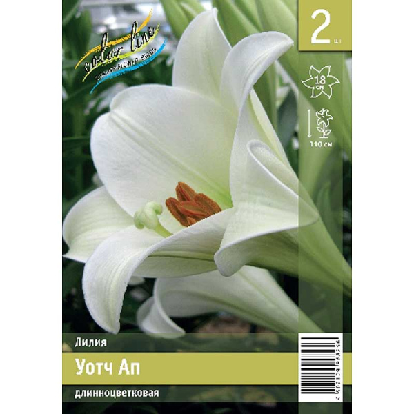 Лилия Уотч Ап 11/12 2 Эконом шт 