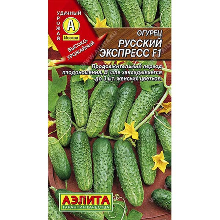Огурец Русский экспресс Аэлита Ц