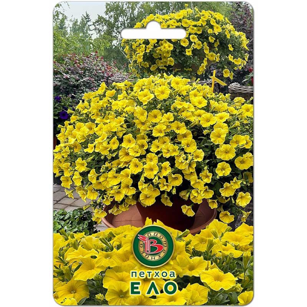 Петхоа Кадибурст желтый Биотехника Ц 