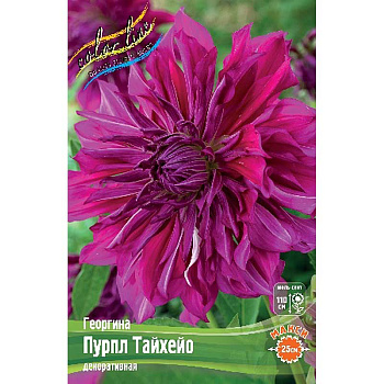 Георгина Пурпл Тайхейо I 1 шт