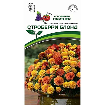 Бархатцы Строберри Блонд Партнер Ц 