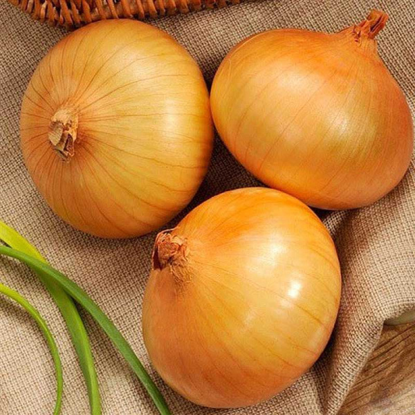 Лук-севок СЕНШУЙ 10-21 1 кг  РОССИЯ 