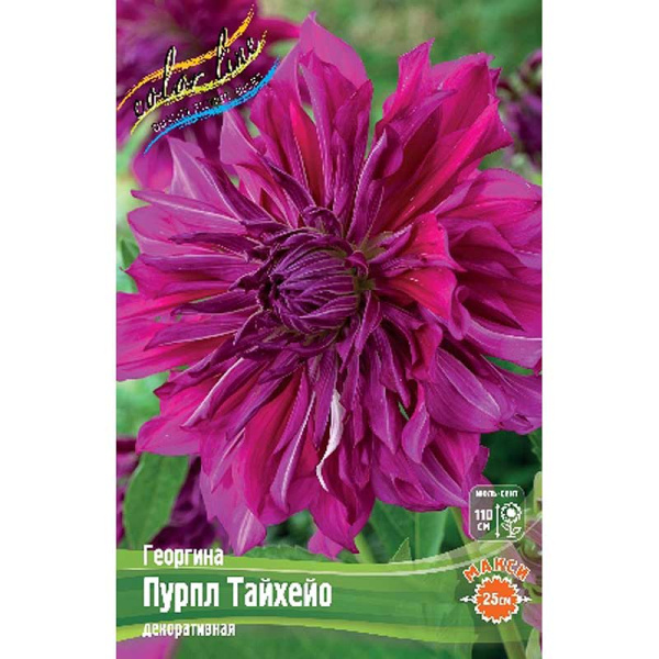 Георгина Пурпл Тайхейо I 1 шт