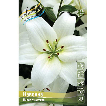 Лилия Навонна 12/14 25 шт Биг-Пак 10631