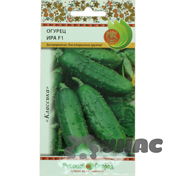 Огурец Ира НК Ц