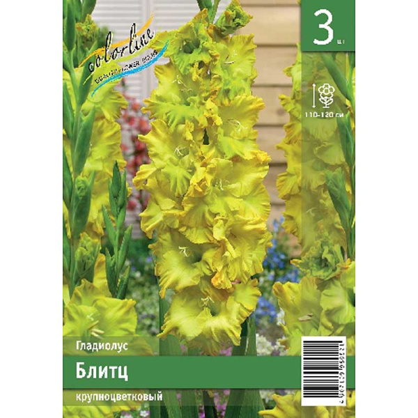 Гладиолус Блитц 10/12 3 Эконом шт 
