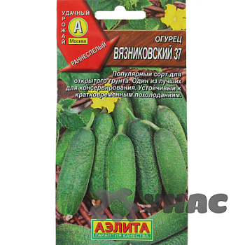 Огурец Вязниковский Аэлита Ц