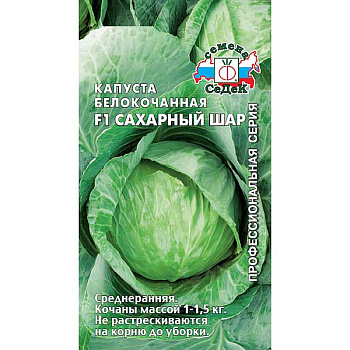 Капуста Сахарный шар  Седек Ц