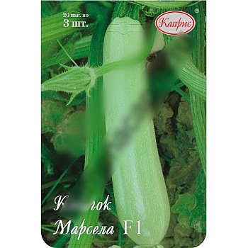 Кабачок Марсела F1 (Нидерланды) Каприс