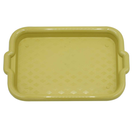 Поднос 40*27*2 см RE-249