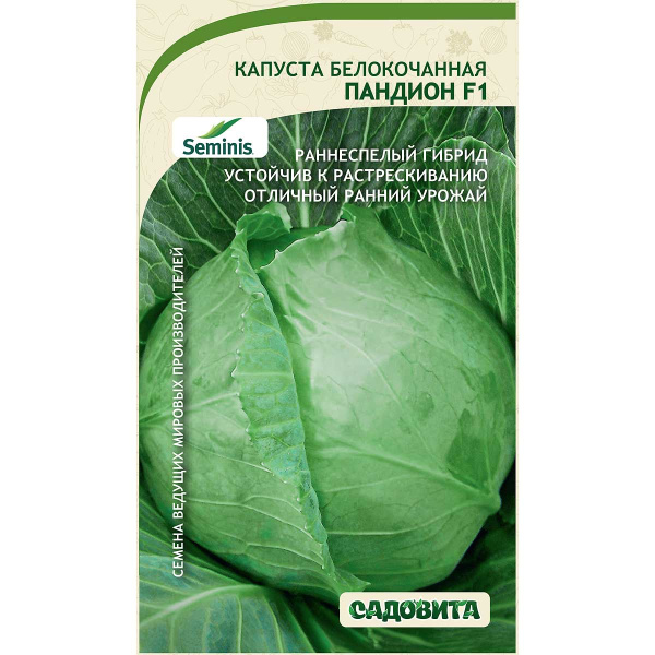 Капуста Пандион белокочанная F1 10 шт Seminis/Садовита Ц
