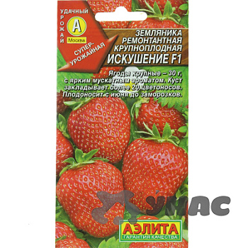 Земляника Искушение Аэлита Ц Земляника Искушение Аэлита Ц