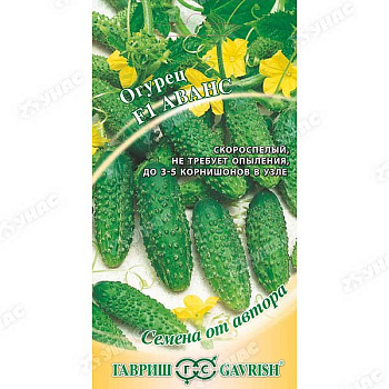 Огурец Аванс Гавриш Ц
