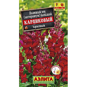 Львиный зев карликовый красный Аэлита Ц 