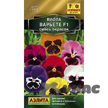 Виола Варьете смесь окрасок Аэлита Ц 