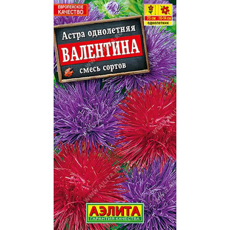 Астра Валентина Аэлита Ц 